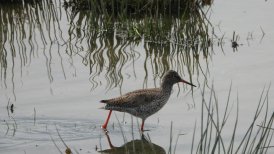 4_6048741385148828125